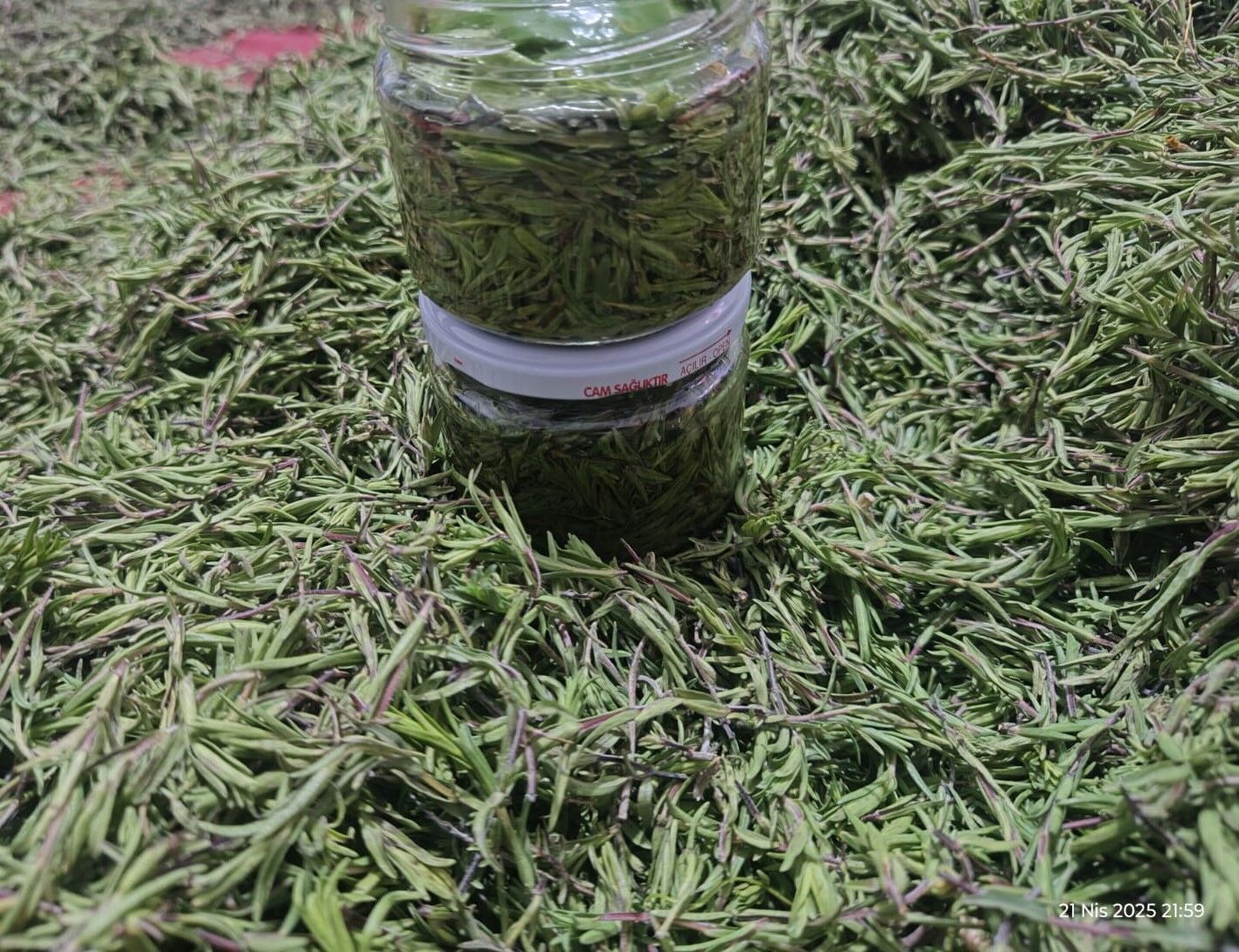 KEKİK SALAMURA